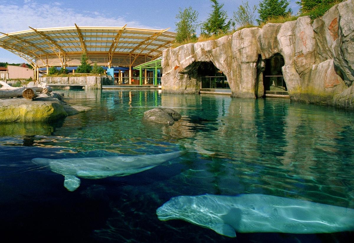 Mystic Aquarium